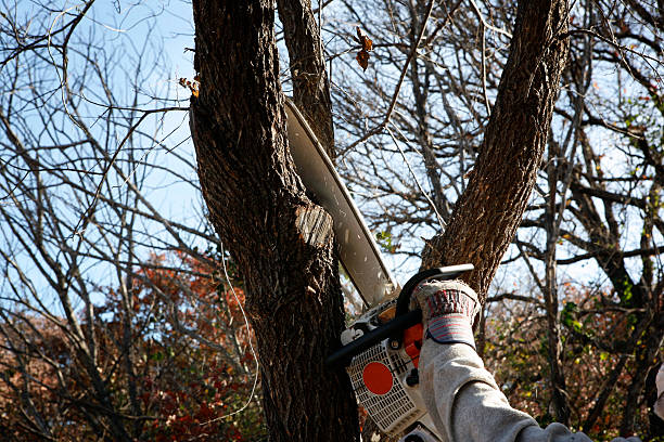 istockphoto-457517535-612x612
