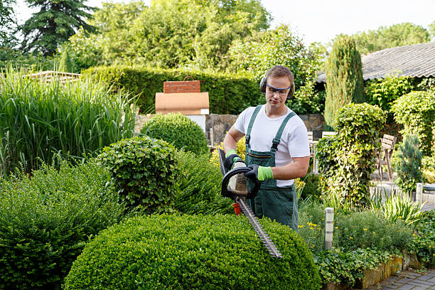 istockphoto-612495778-612x612